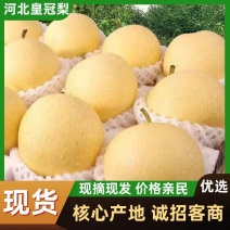 【产地直发】赵县皇冠梨皮薄肉细脆甜爆汁欢迎来电
