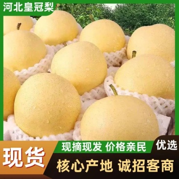 【产地直发】赵县皇冠梨皮薄肉细脆甜爆汁欢迎来电
