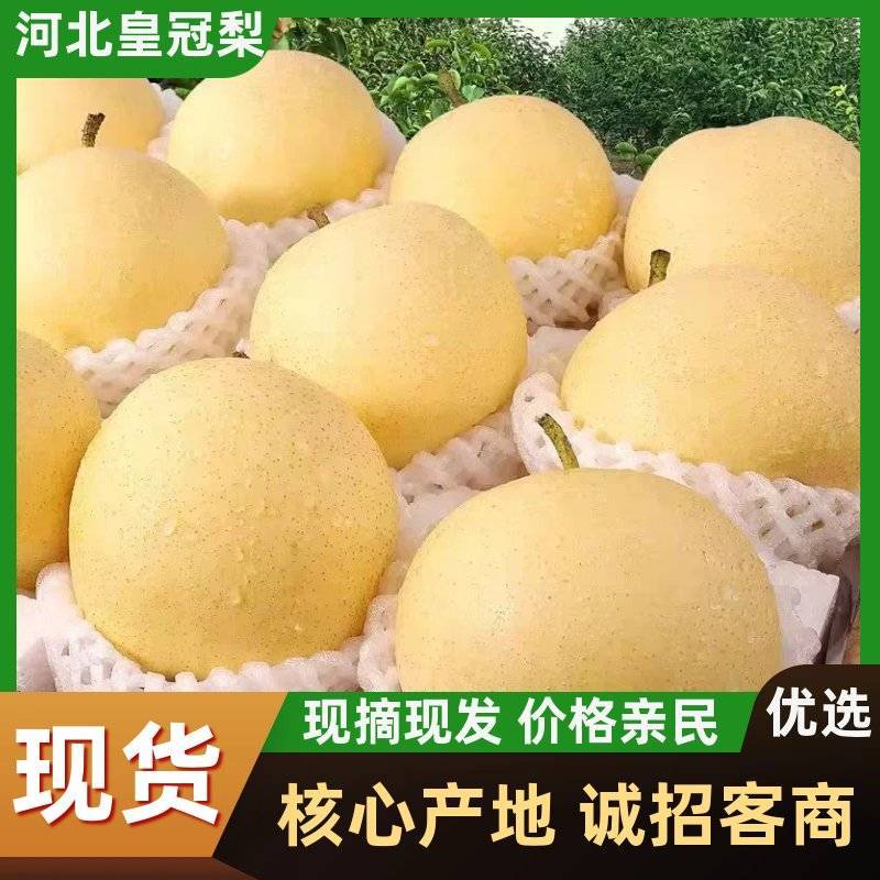 【产地直发】赵县皇冠梨皮薄肉细脆甜爆汁欢迎来电