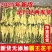 霸王花干货无硫煲汤材料大量供应足金足量发货
