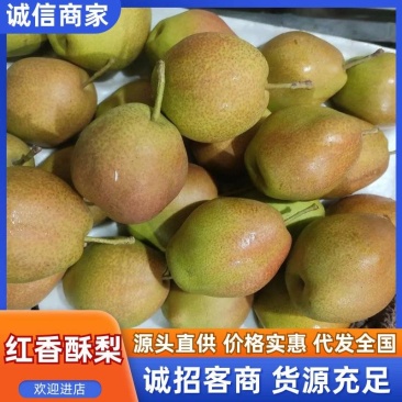 （产地直供）红香酥梨酥脆化渣清甜多汁品质保证欢迎来电