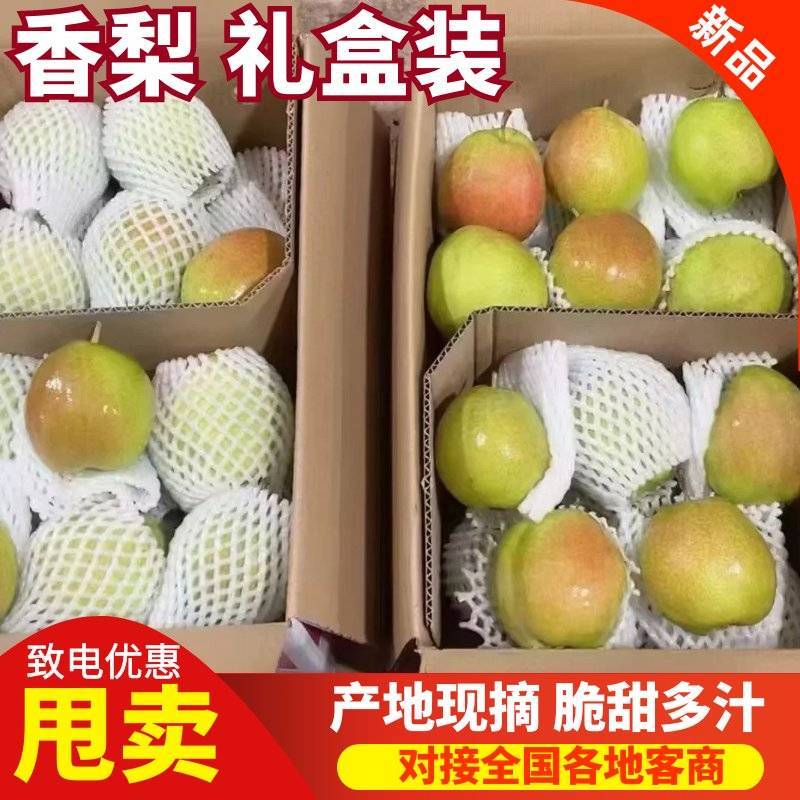 礼盒香梨颗颗精选清甜润心产地直发一手货源
