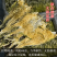 霸王花干货无硫煲汤材料大量供应足金足量发货