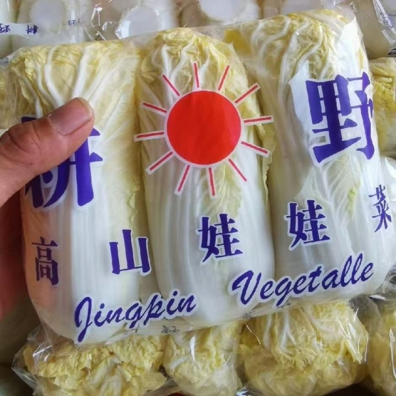 优选小娃娃菜人工分拣保证质量供货量大全国对接市场