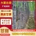 【实力商家】广东黑皮甘蔗皮薄多汁现砍现发基地批发量大直