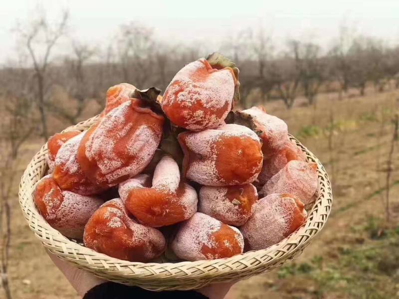 正宗陕西富平吊柿饼霜柿传统工艺晾制