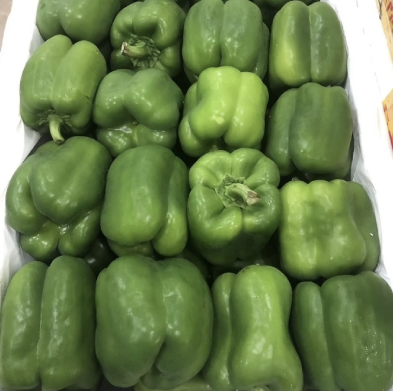 西椒，灯笼椒，上市，欢迎老板洽谈合作
