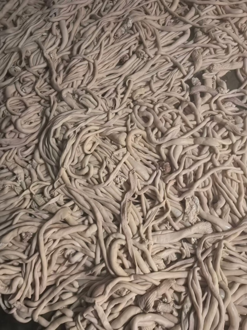精品羊捆肠