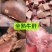 精品全熟牛肝