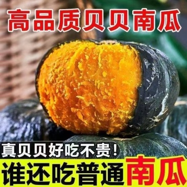 【推荐】贝贝南瓜一件代发品质优等对接电商团购供应链