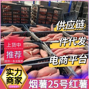 【一件代发】烟薯25,山东红薯对接电商团购带货供应链