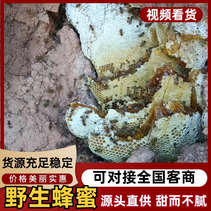 野生蜂蜜蜂蜜🍯产地直销量大从优可视频看货对接全国各地
