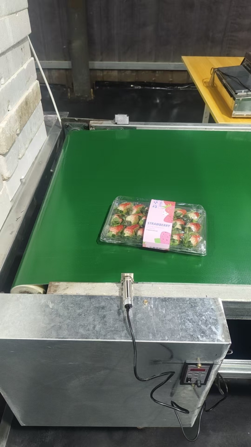 香野草莓，安丘精品草莓！纯甜无酸！