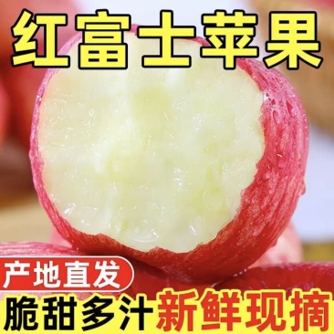 精品红富士苹果一件代发对接电商团购脆甜苹果诚信合作