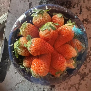 奶油草莓