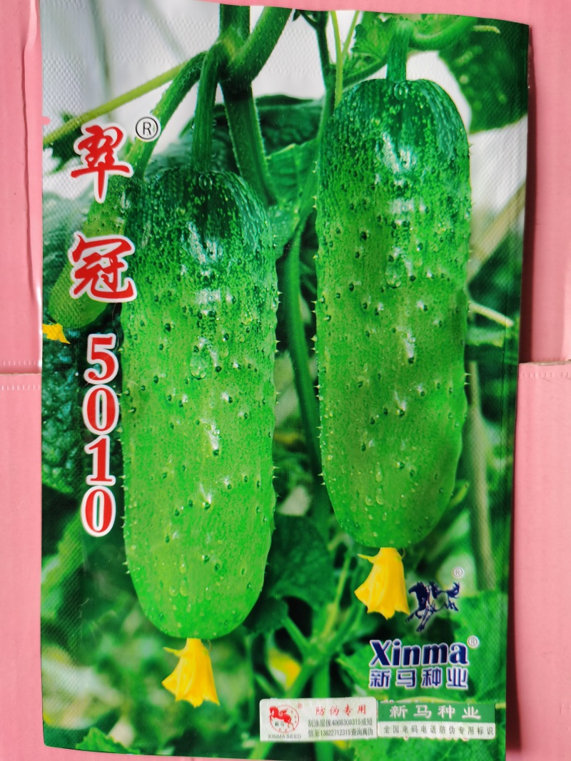 经典园帅️翠冠5010水果黄瓜种子