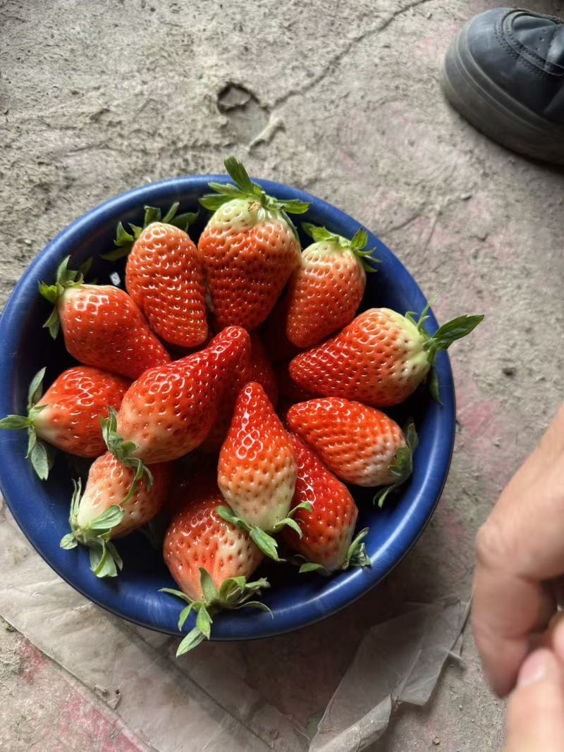 奶油草莓