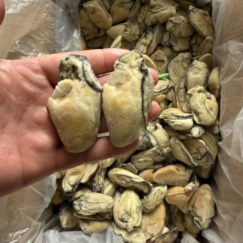 冷冻生蚝肉无冰衣20斤运费自理全国可发货，，，，，，，，