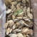 冷冻生蚝肉无冰衣20斤运费自理全国可发货，，，，，，，，