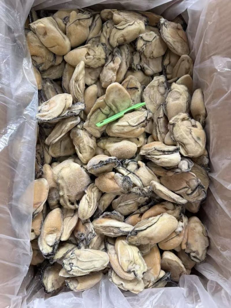 冷冻生蚝肉无冰衣20斤运费自理全国可发货，，，，，，，，
