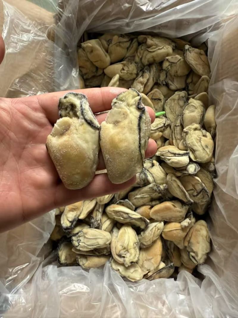冷冻生蚝肉无冰衣20斤运费自理全国可发货，，，，，，，，