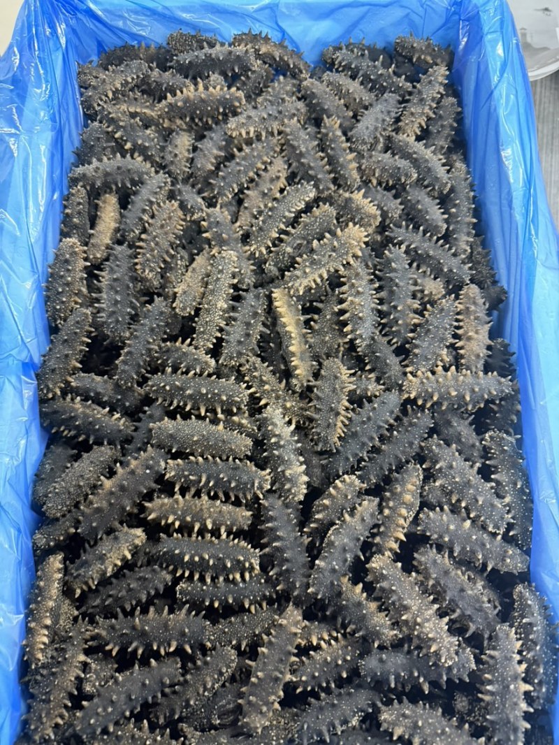 大连网箱J淡干有需要的联系
