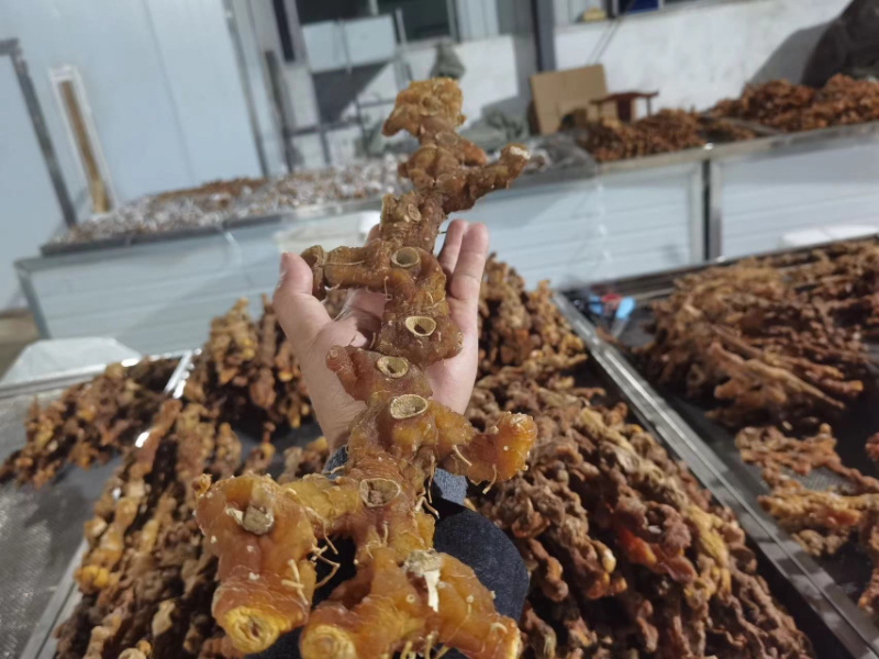 黄精干货多花姜型黄精无硫水洗足干货大货批发一手货源