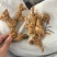 黄精干货多花姜型黄精无硫水洗足干货大货批发一手货源