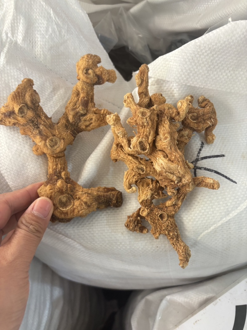 黄精干货多花姜型黄精无硫水洗足干货大货批发一手货源