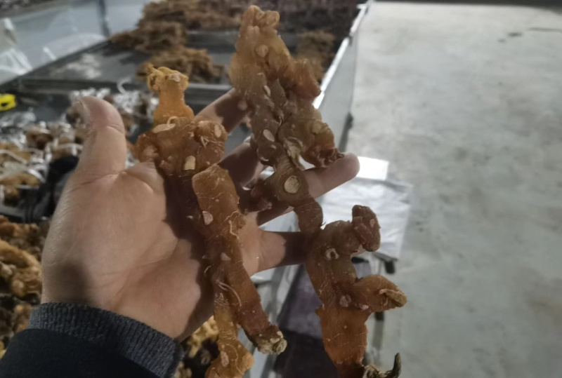 黄精干货多花姜型黄精无硫水洗足干货大货批发一手货源