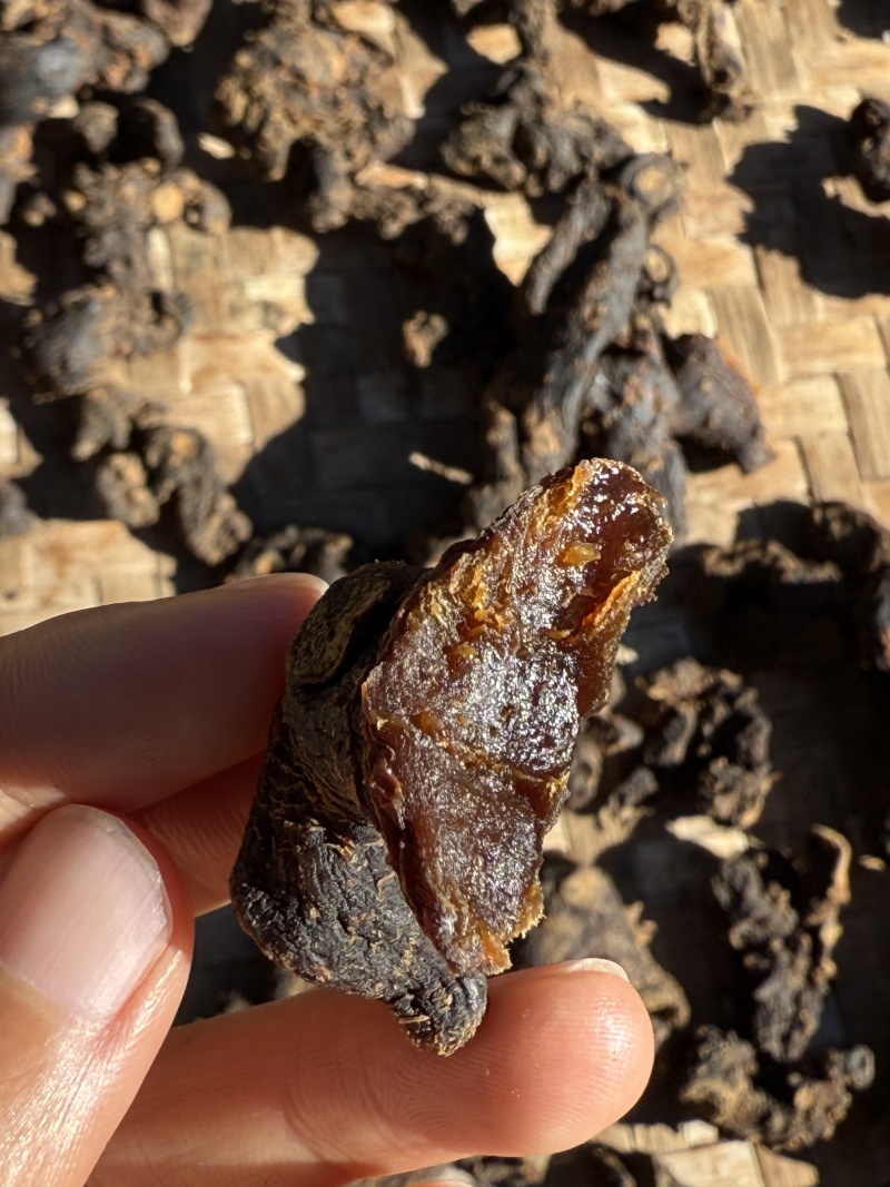 黄精，野生黄精鲜货，传统九制黄精供应支持电商合作统货选货