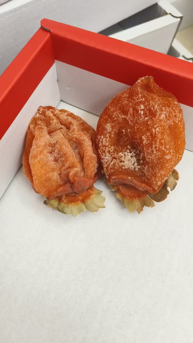 正宗富平柿饼，2025年新货🤗