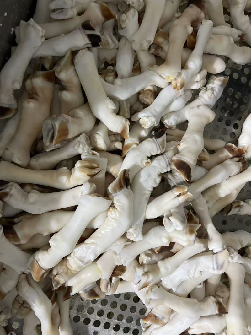 白羊蹄花羊蹄