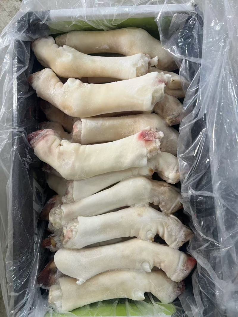 白羊蹄花羊蹄