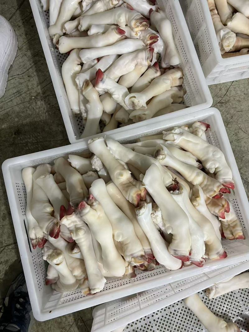 白羊蹄花羊蹄