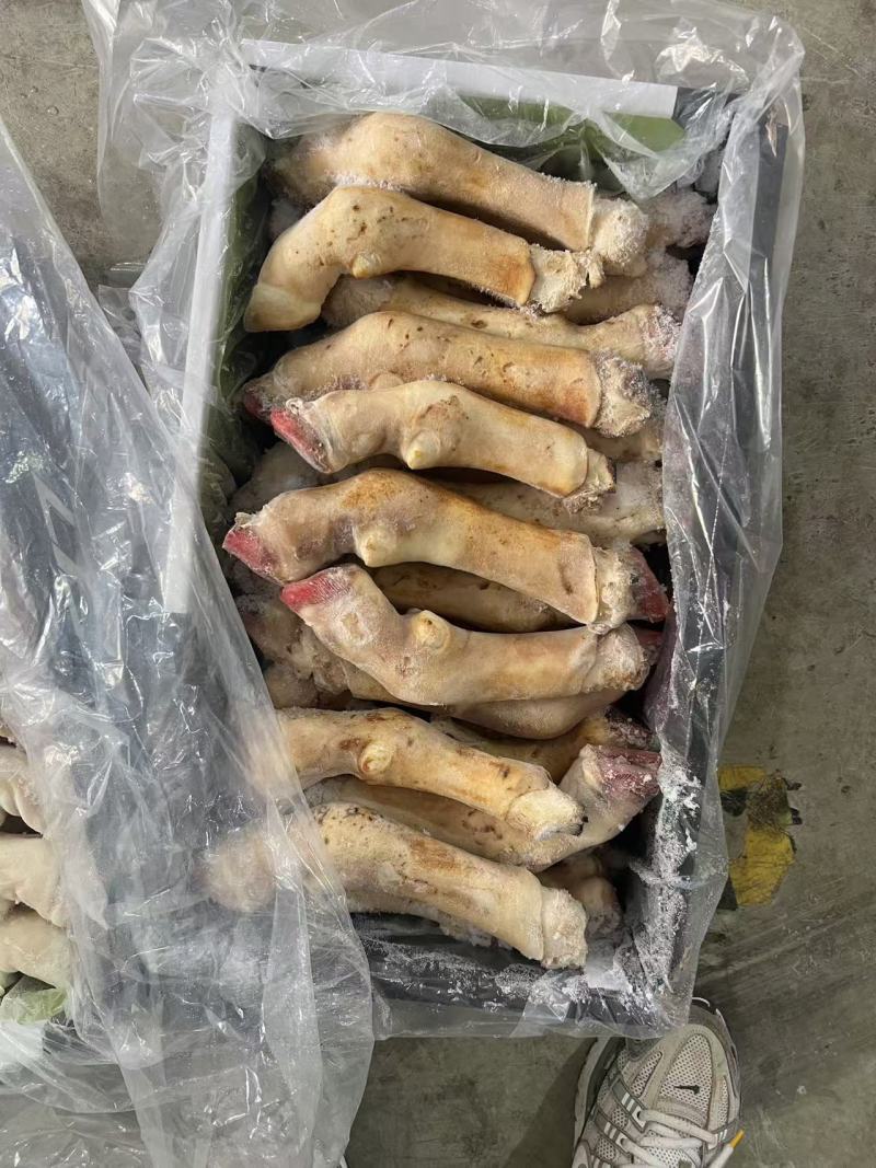 白羊蹄花羊蹄