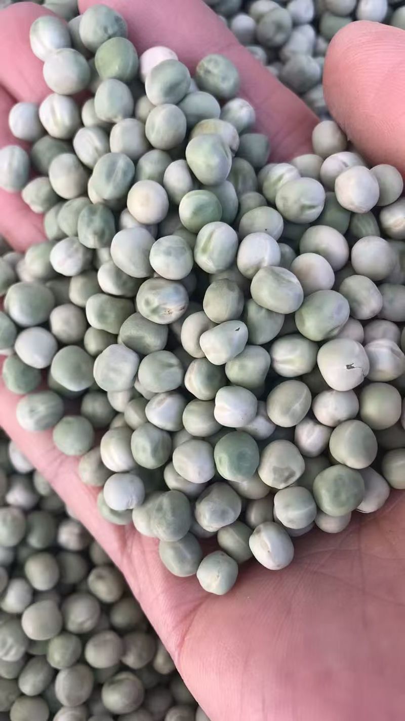 方绿豌豆青豆青豌豆食品速冻复水豆美国