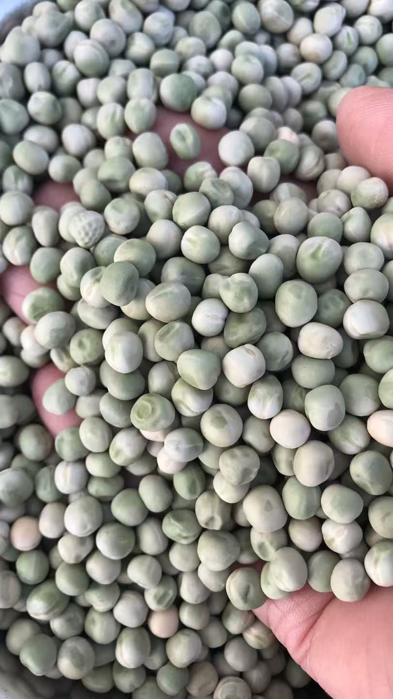 方绿豌豆青豆青豌豆食品速冻复水豆美国