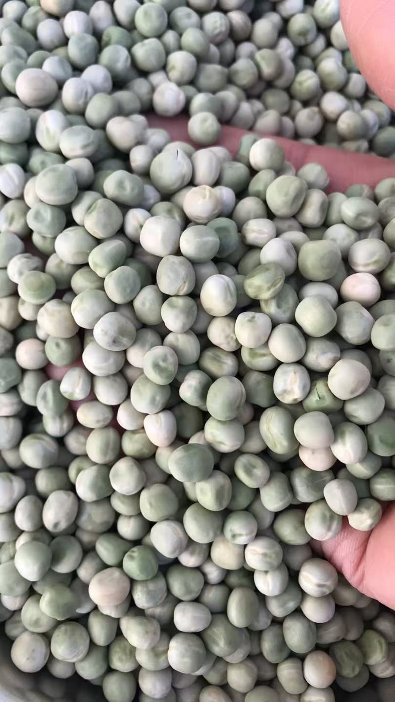 方绿豌豆青豆青豌豆食品速冻复水豆美国