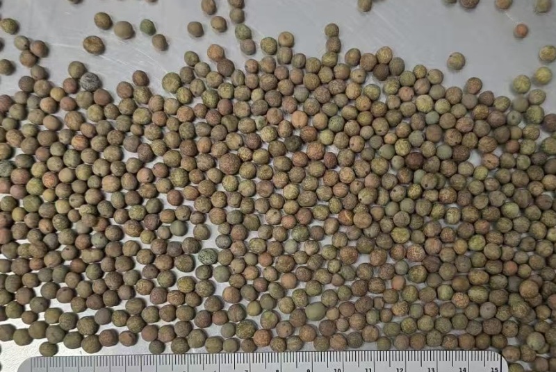 麻豌豆小麻豆冬豆2025年产新货