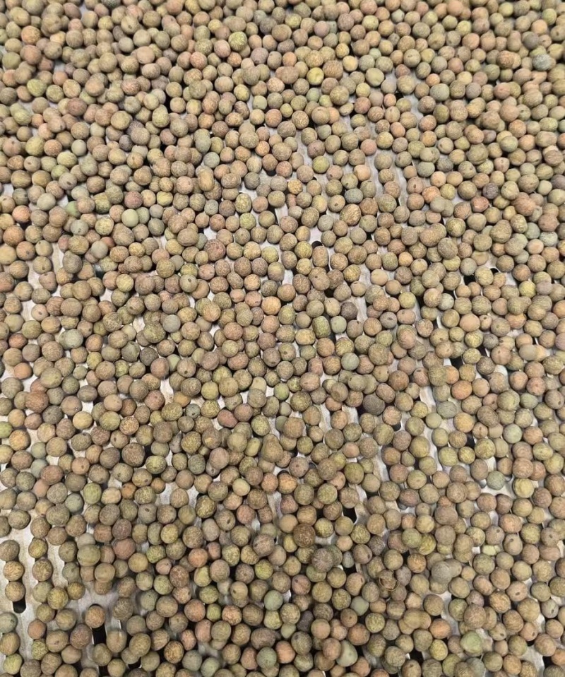麻豌豆小麻豆冬豆2025年产新货