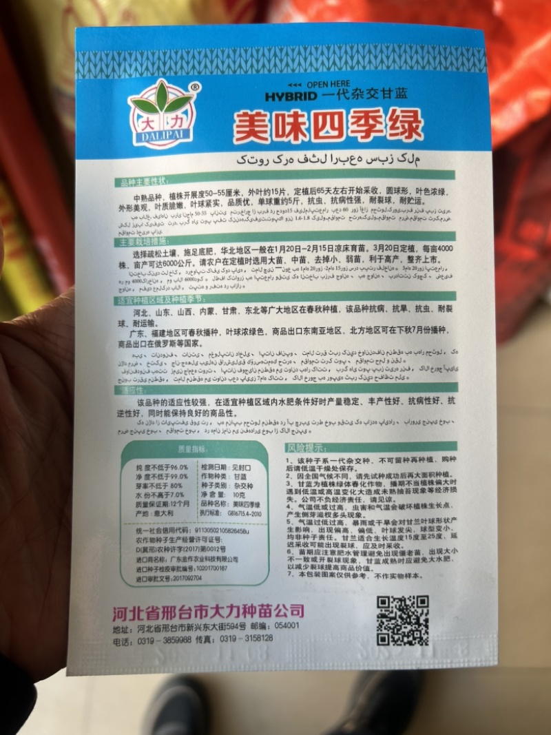 美味四季绿甘蓝种子中熟叶球紧实黄芯耐裂基地品种