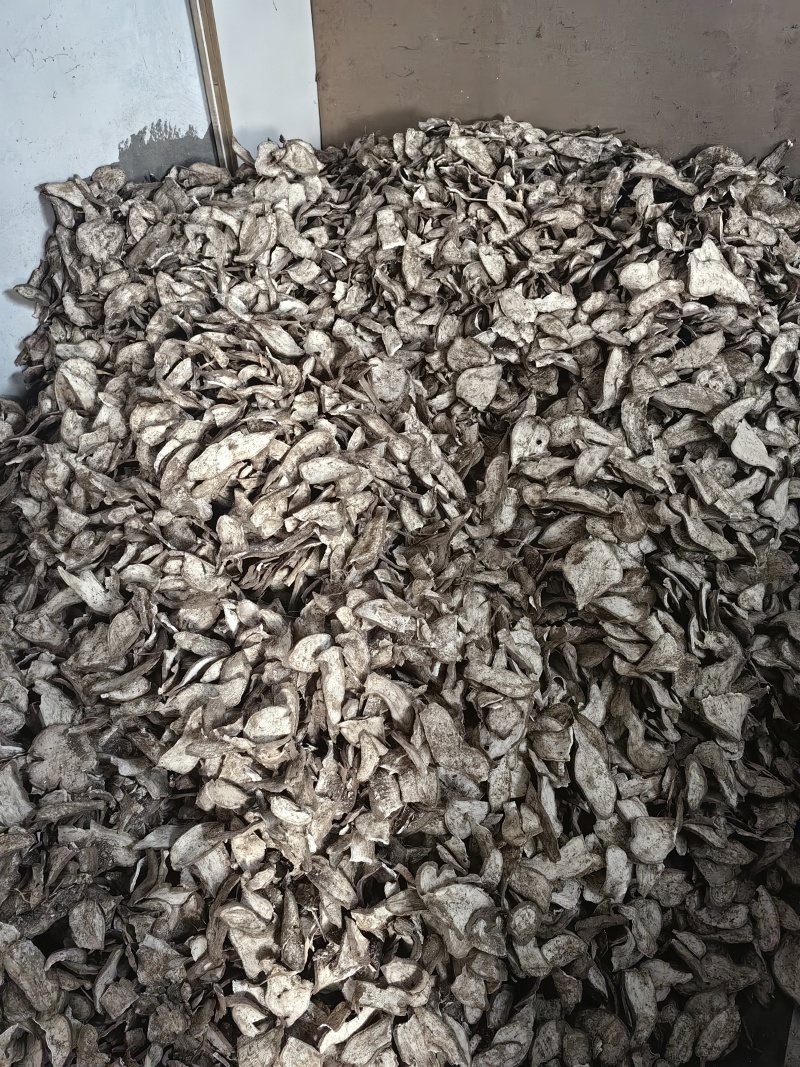 红薯大概5千斤干红薯片5千斤纯红薯粉2千斤