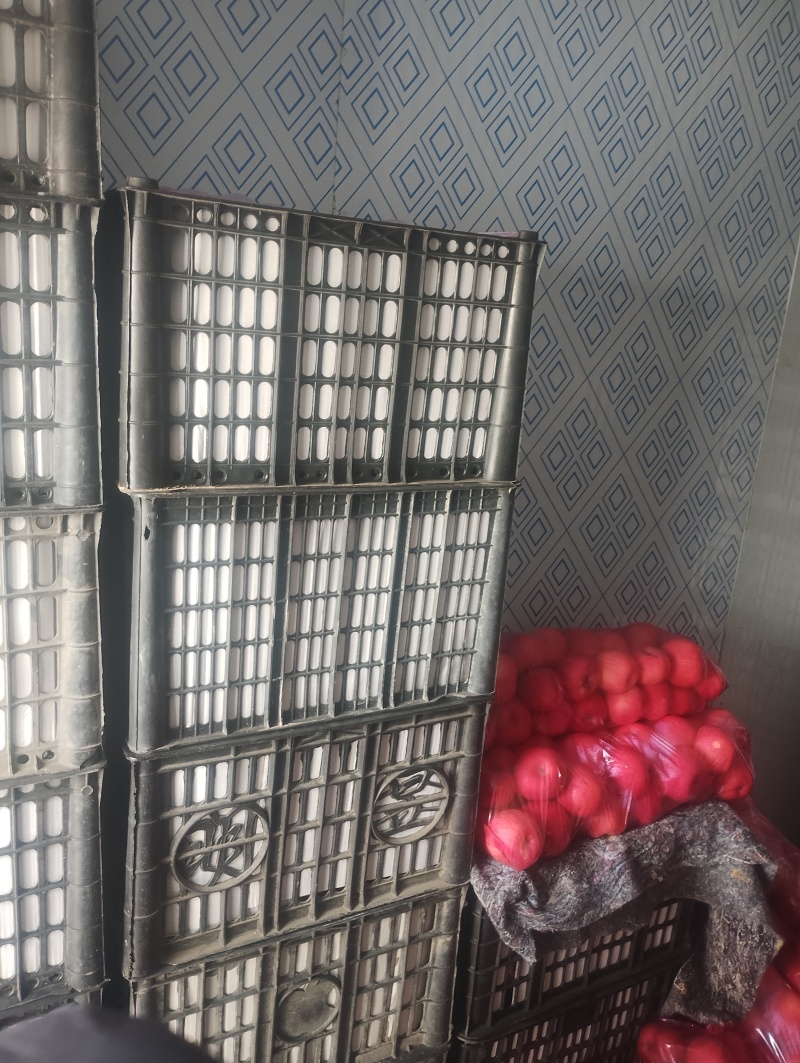 脆甜红富士口味独特