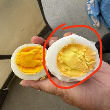 新鲜干净的土鹅蛋
