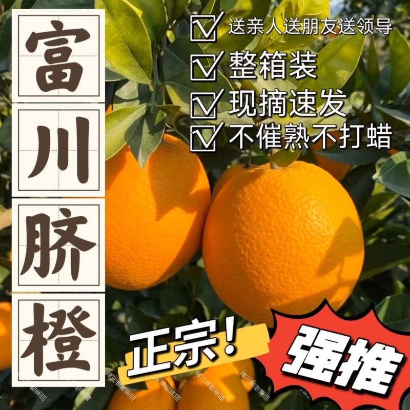 严选80mm-85mm规格特级富川脐橙原味果不催熟不打甜蜜素