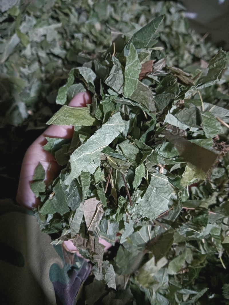 淫羊藿洋藿叶现货供应批发各种中药材量大优惠