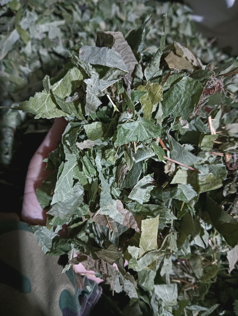 淫羊藿洋藿叶现货供应批发各种中药材量大优惠