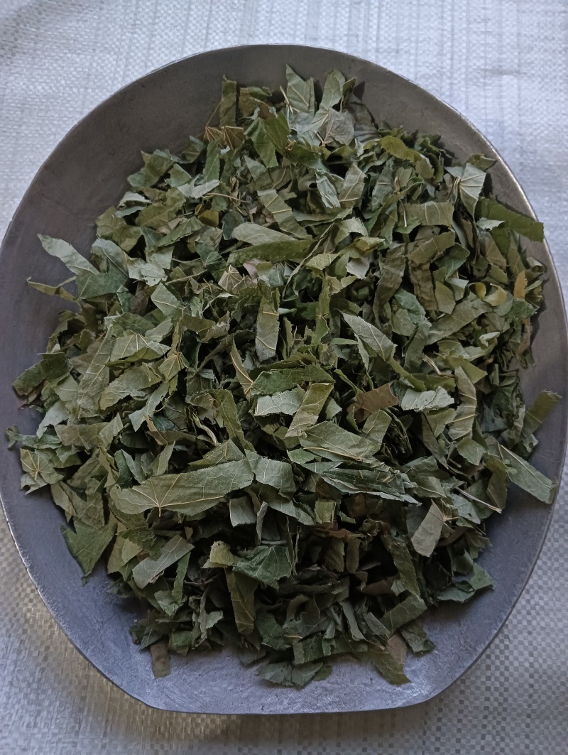 淫羊藿洋藿叶现货供应批发各种中药材量大优惠