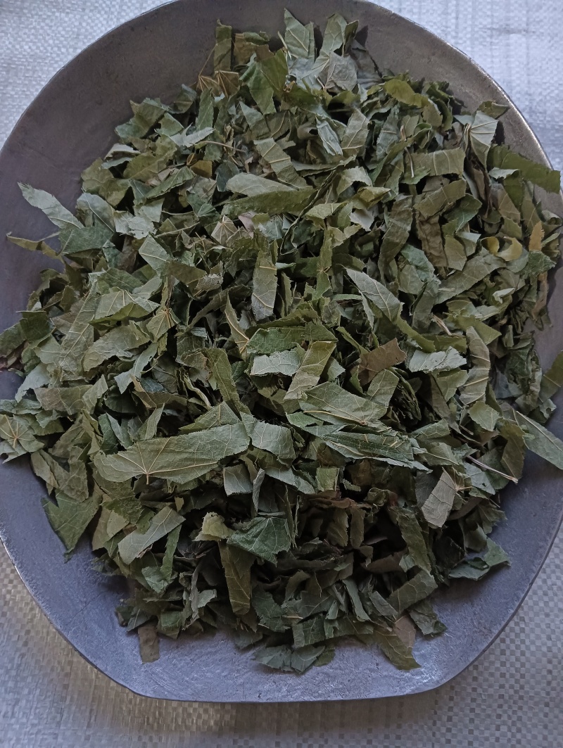 淫羊藿洋藿叶现货供应批发各种中药材量大优惠